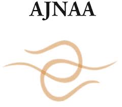 Ajnaa jewels